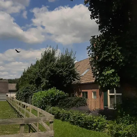 Bonaparte 3 Oda ve Kahvaltı